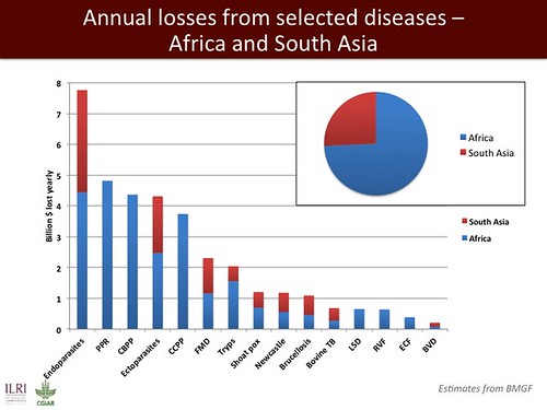 Annual losses from selected diseases--Africa and South Asia