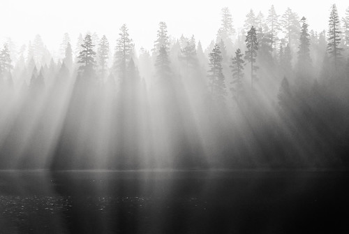 california trees blackandwhite bw lake reflection forest sunrise smoke rays rimfire pollockpines