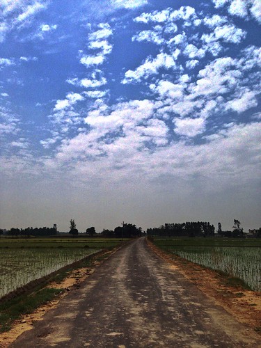 road sky india countryside indian fields lonely punjab samrāla