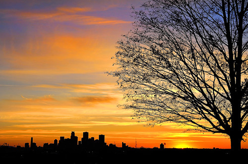 autumn trees sunset orange sunlight fall silhouette yellow clouds colorful cloudy horizon blues downtownminneapolis
