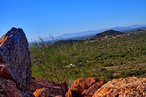 park arizona usa southwest cacti skies desert hiking sunny adventure clear vistas lovely saguaro sonoran prickly maricopa userymountain usery useryregionalpark