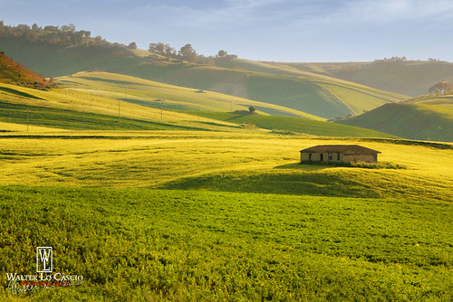 house verde tramonto country natura campagna giallo sicilia casolare rudere rurale prateria caltanissetta casolareabbandonato walterlocascio campagnanissena
