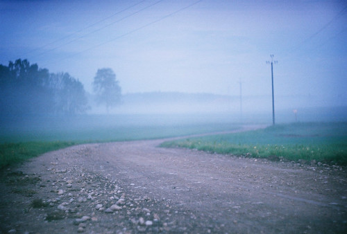 film fog analog 35mm landscape estonia bokeh zenit eesti zenitet