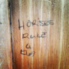 Horses rule 4 eva. .
