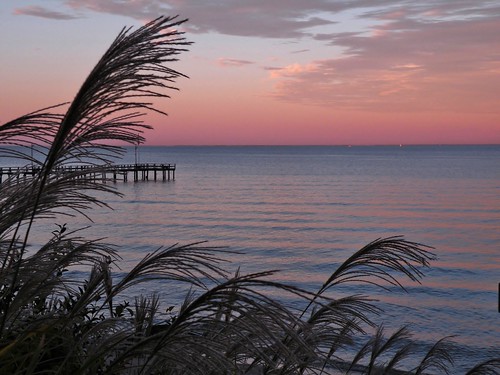 pink blue sunset sky fall beach water colors clouds reflections bay pier shadows seasons view purple branches calvert chesapeakebay portrepublic kwb southernmaryland calvertcounty calvertcountymd portrepublicmaryland googleplus kenwoodbeach belindamarie kenwoodbeachcalvert calvertchesapeakebay belindamariepix belindaphotoshares belindachurch