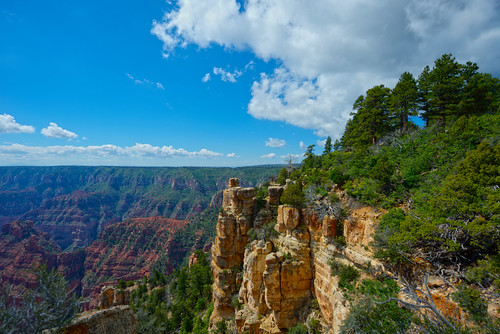 trees red arizona usa yellow rock clouds forest landscape nationalpark day grandcanyon canyon hdr northrim d800e pwpartlycloudy