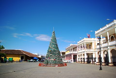 Christmas tree on plaza