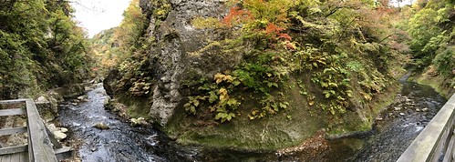 osaki 宮城県 autumn 山 紅葉 miyagi 秋 nature fall 大崎市 japan mountain