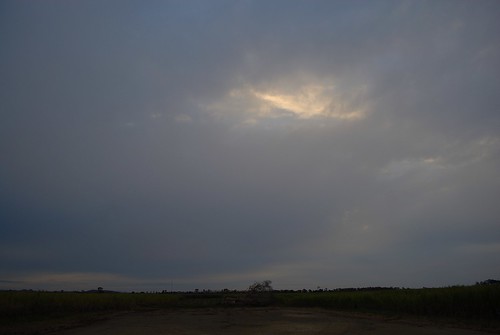 sunset nature clouds countryside scenery overcast crops fallentree sugarcane flatness sunlightthroughclouds loadingpad