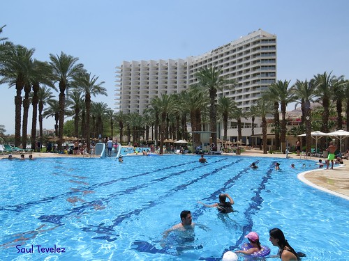 summer david water pool hotel israel agua palmeras palmtrees verano pileta deadsea lemeridien marmuerto canonpowershotsx50hs saultevelez