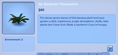 Go Bananas House Plant'