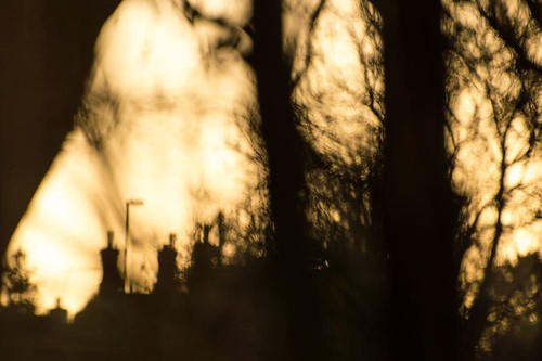 morning winter abstract blur tree nature sunrise silver dawn golden december village bare silhouettes blurred billy birch nikkor hazy 70300mm clapham vr catkins nikond3200 ifed utterby 2013