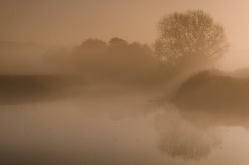 mist river landscape dawn brittany bretagne rivière paysage brume aube illeetvilaine vilaine bestcapturesaoi chapelledebrain