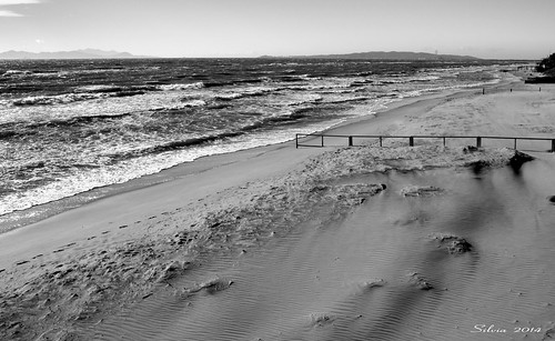 italy mare toscana spiaggia biancoenero vento sabbia follonica salsedine maredinverno libeccio golfodifollonica