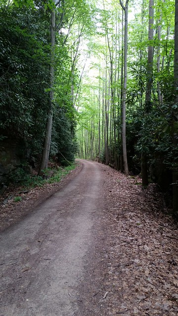 A lovely section of the GAP trail