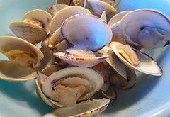 littleneck clams (cooked)