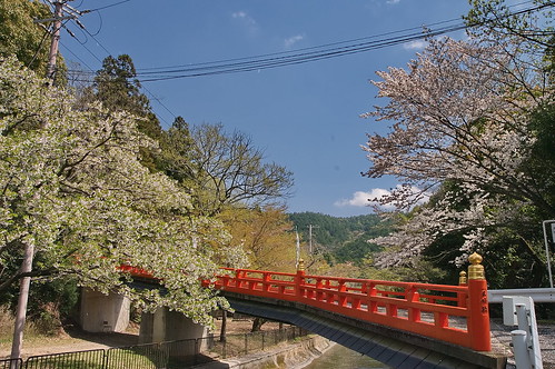 【写真】2013 桜 : 山科疎水/2020-09-19/IMGP9957