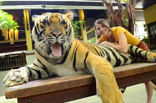 Zoe Evans in Thailand - with a tiger!
