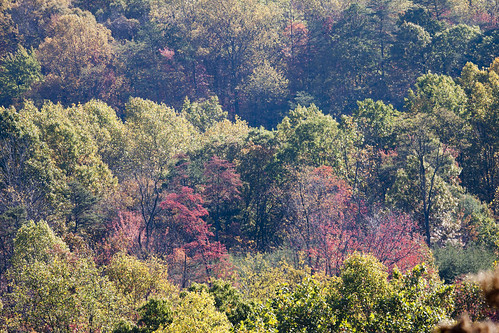 autumn fall canon colours foliage westernmaryland seidlinghill