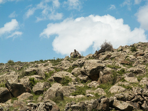 2006 armenia kosh landscape nature people rock village