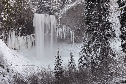 winter usa snow motion cold tree ice water oregon landscape frozen waterfall northwest scenic nobody icicle serene icy tranquil tomschwabel mounthoodnationalforest tamanawasfalls coldspringscreek