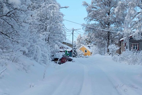 winter snow vinter sweden sverige snö snowmobile trenchrun dsc3449 atranswe dikeskörning väja snöscooter västranorrland latn62°5818lone17°427