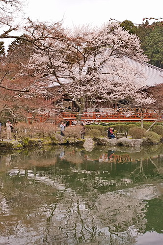 【写真】2013 桜 : 醍醐寺/2021-10-20/IMGP9081