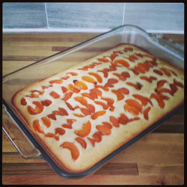 Apricot kuchen... is what's for breakfast!