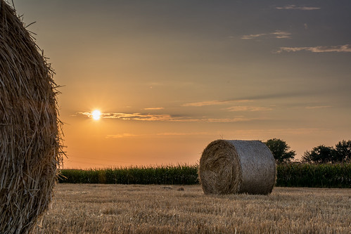 sunset field 50mm hay naplemente széna szántó d5200