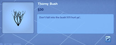 Thorny Bush