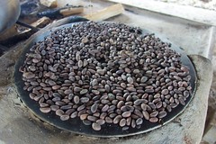 Roasting cocoa beans on a comal
