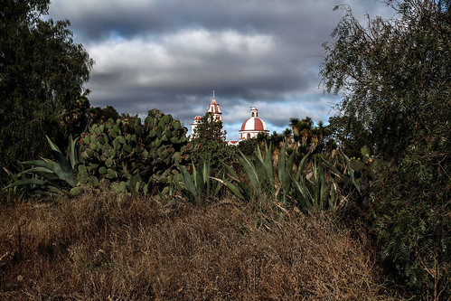 cactus sky naturaleza church clouds canon mexico photography town photo flora foto village pueblo picture iglesia paisaje cielo nubes fotografia magey 60d davidacordovam