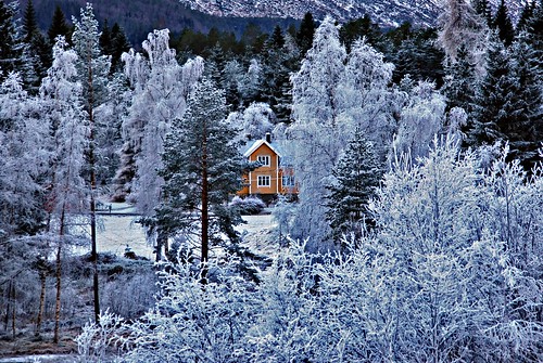 hus frost skog osdal gjersdalen volda house oker ocher blue frosty gjersdalsvegen vetrabilete winter vinter hiver trær trees oc erlingsivertsen frozen blå blått