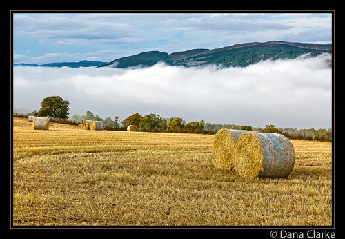 morning mist water field fog mystery landscape scotland unitedkingdom scenic hay loch agriculture bales lochness ness mists roundbales dores danagc
