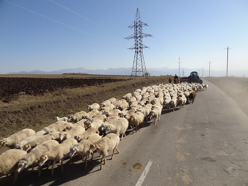 road geotagged driving arm armenia tegh syunikʼ syunikê¼ syunikãšâ¼ geo:lat=3955064387 geo:lon=4645858737