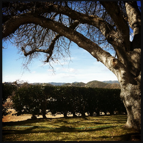california centralcoast hacienda 2014 jolon fortliggett
