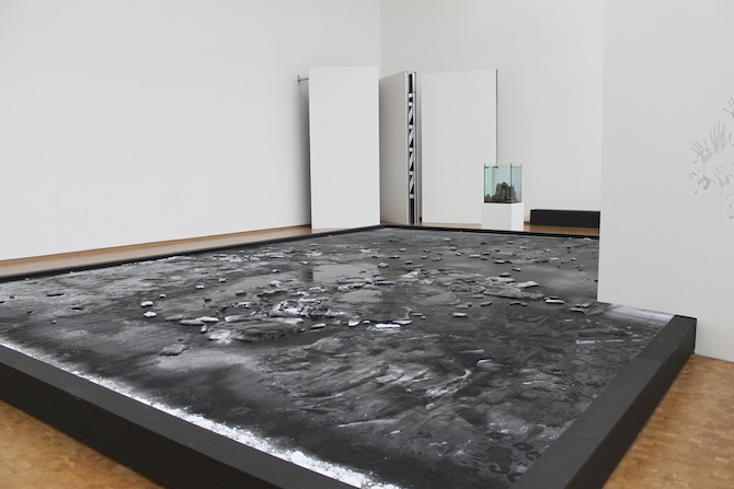 Pierre_Huyghe_Museum Ludwig_Courtesy Museum Ludwig and Pierre Huyghe / Copyright Pierre Huyghe