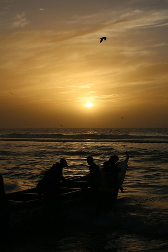 fishing fishermen sea boat sun sunset seagull beach atlantic ocean guetndar saintlouis senegal africa westafrica picmonkey