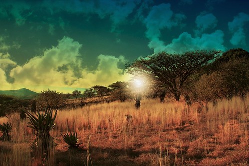trees nature grass landscape southafrica glow kwazulunatal drakensberg bushveld eos7d
