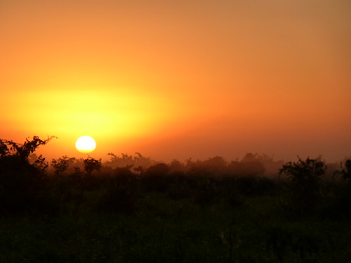 sun southamerica sunrise amazon bolivia jungle pampas rurrenabaque