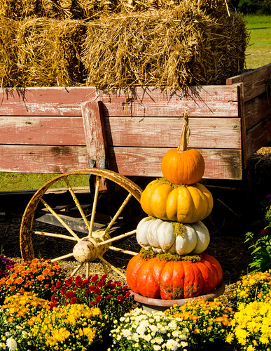 autumn wagon pumpkins hay