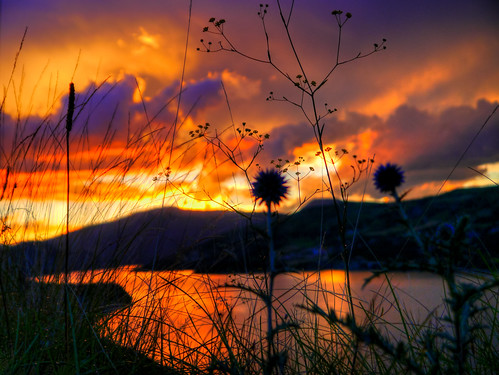 sunset sky orange lake france nature beautiful weather clouds de landscape weeds scenic lac serreponçon