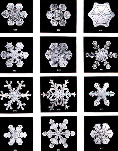 601px-SnowflakesWilsonBentley.jpg