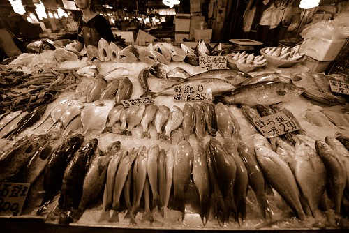 你留意過餐桌上的魚來自何方？那些底棲台灣沿岸的魚種逐漸消失，立委擬禁底拖網護魚。（圖：牧鄉，文：廖靜蕙）