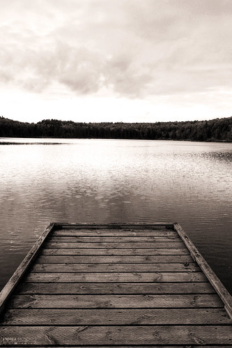 andreamoscato canada america view vista vivid black white bw sepia lago lake landscape paesaggio parco park nature natura nuvole natural naturale national np nationalpark sky clouds shadow light pier pontile wood water acqua freshwater reflection