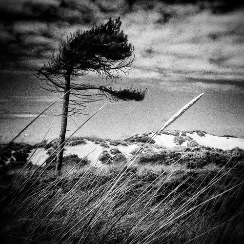 blackandwhite bw landscape mobilephotography iphoneography mobiography