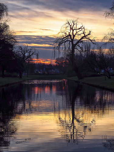 reflections nederland thenetherlands parks sunsets dordrecht silhouetttes