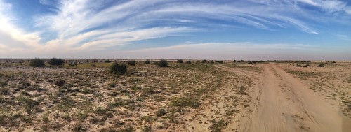 sky cloud green landscape desert doha qatar