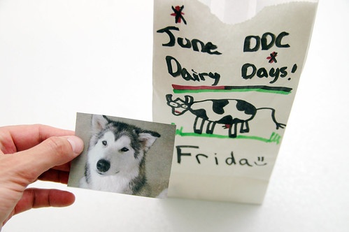 you might be in wisconsin if your doggie day care celebrates june dairy days.