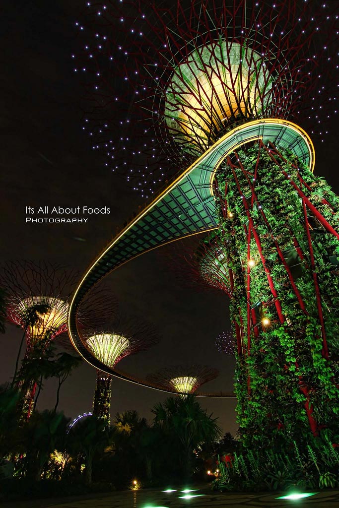 Supertree Groove Gardens By The Bay